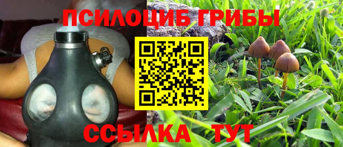 Галлюциногенные грибы мицелий Унеча